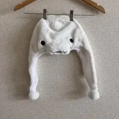 鴨川シーワールド シャチ 被り物