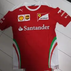 F1 レッドブル　セバスチャン・ベッテル　Tシャツ　パーカー ベッテル4連覇記念Tシャツ＆キャップが発売に | autosport web