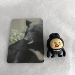 こびとづかんフィギュア　カクレケダマ食玩