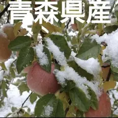 3キロ葉とらずサンふじ家庭用