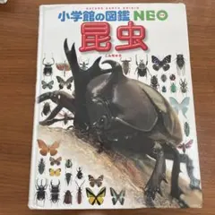小学校の図鑑 NEO 昆虫