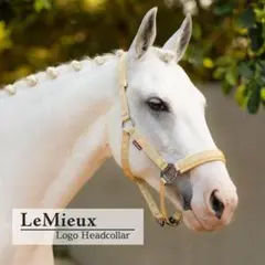 Item thumbnail for item e30ec086-063f-4127-a9b0-13778b52a597