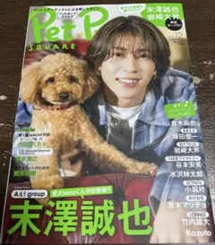 Pet Pop SQUARE vol.12 末澤誠也
