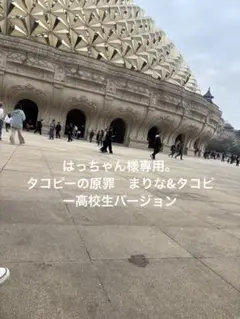 専用ページ