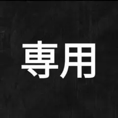 専用2