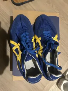 Mizuno スパイクシューズ 青金 仙台育英 - メルカリ
