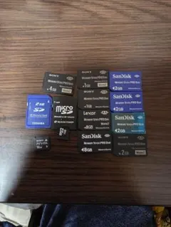 SanDisk テレビゲーム