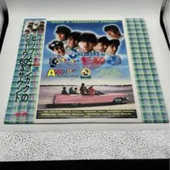 2025年最新】CHECKERS in TAN TAN たぬき の人気アイテム - メルカリ