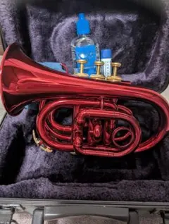 ポケットトランペット 2025年最新】ポケットトランペットの人気アイテム - メルカリ