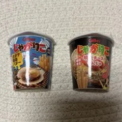 カルビー じゃがりこ ミニチュア マグネット 2種セット
