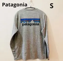 【極美品】パタゴニア　ロングスリーブキャプリーンクールデイリーグラフィックシャツ