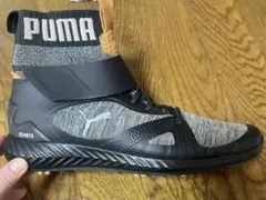 PUMA IGNITE ゴルフシューズ ハイカット　25.5㎝