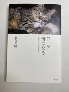 Item thumbnail for item fd642d55-60c8-48dc-9730-1fda90f163af