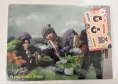 Mrs.GREEN APPLE 一番くじ H賞 クリアファイル