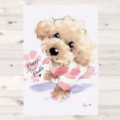 イラスト 原画 ポストカード 絵 【トイプードル】299