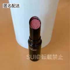【Visée】ヴィセ ネンマクフェイクルージュⅡ PK851 匿名配送