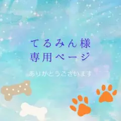 てるみん 様専用　No.1749 2枚セット
