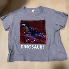 Item thumbnail for item 4433264f-c0fb-447f-aa6a-66e980f5a1d0