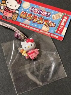 2025年最新】ご当地キティ レアの人気アイテム - メルカリ