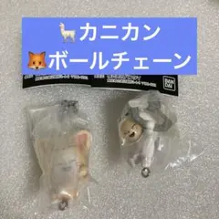 SKZOO つまんでつなげてますこっとvol.2 ジニレット　フォクシニー　2個