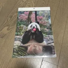 パンダ A4クリアファイル（第二弾）