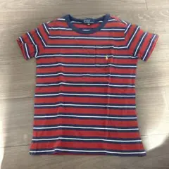 ポロ ストライプ Tシャツ
