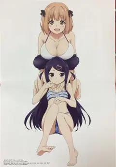 おちこぼれフルーツタルト D4DJ ファーストミックス 両面ピンナップポスター