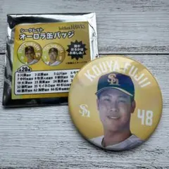 安心の匿名発送 シークレット オーロラ缶バッチ 48 藤井投手