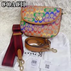 未使用級✨COACH コーチ ウィロー サドルバッグ レインボー 