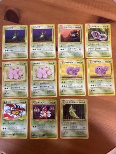 旧裏】プクリン ポリゴン コラッタ ベロリンガ ドードー◇ 拡張シート