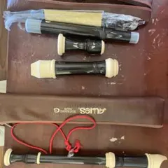 Item thumbnail for item fd478b1f-b6ce-43dc-8b72-5293c9f66a5a