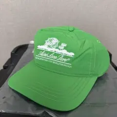 Item thumbnail for item 49c4c492-853b-4c97-ac31-ea81fe213850