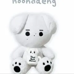 enhpyen ソンフン　ぬいぐるみ　40cm 新品　マスター 2025年最新】ソンフン ぬいぐるみ 40の人気アイテム - メルカリ