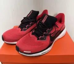 NIKE ペガサス41