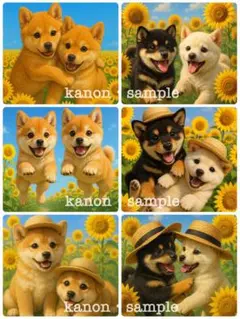 P210 パネル生地　柴犬　ひまわり　18×18 6枚1セット
