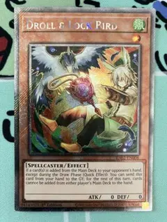 2025年最新】ドロール＆ロックバード 英語の人気アイテム - メルカリ