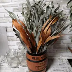 No.74ドライフラワーセット