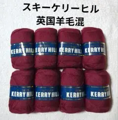【値下げ】スキー毛糸 《スキーケリーヒル》ボルドー系　8玉　英国羊毛混　中細程度
