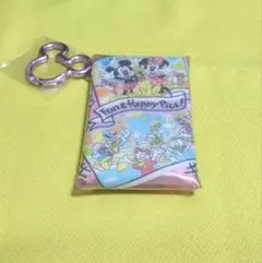 【未使用】 東京ディズニーリゾート　カラビナケース付き