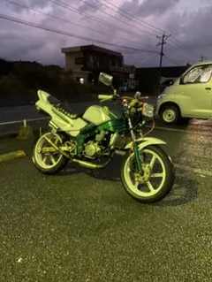 値下げ⭕️Ninja250 スタント仕様 フルカスタム ex250l - メルカリ