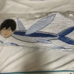 かげやまトビウオくじ A賞クッション
