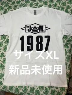 Item thumbnail for item 33cd30ba-4728-42b5-ad0b-843f0a1afb31