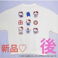 Item thumbnail for item e8bacb75-d934-46af-9eaf-49ef2bd79348