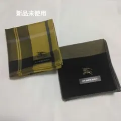 Item thumbnail for item 66bbe418-1dc3-4c17-b328-14d9b86eab07