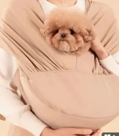 Item thumbnail for item 3ff45265-ef85-478d-a272-9801fff8005a