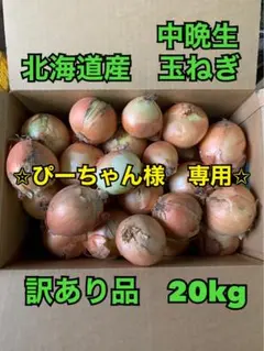 北海道産　中晩生玉ねぎ　訳あり品　20kg