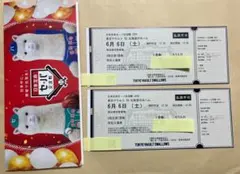 今週末（土）6/6 ペア プロ野球交流戦（神宮デーゲーム）ヤクルトvs日本ハムのサムネイル