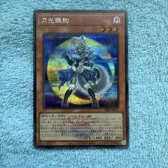 月光銀狗 ロゴ シークレット 遊戯王WCS 2026 - メルカリ