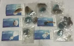 原色タコ・イカ図鑑 シークレット フィギュア まとめ売り 2026年最新】原色 イカ タコ 図鑑の人気アイテム - メルカリ