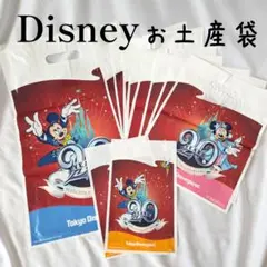 Disney ディズニー お土産袋 セット ショッパー ショップ袋